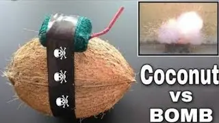 Coconut vs Bullet