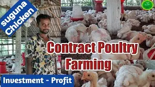 How To Start Contract Poultry Farming In Odisha//Contract Poultry Farming Profit//Poultry business