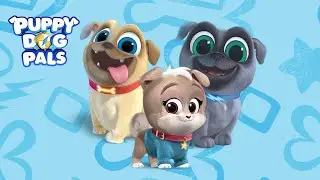 🚀 Top Speed ​​in Puppy Dog Pals Obstacle Run! 🐶🔥