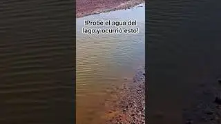 Prob&eacute; el agua del #lagodetexcoco #agua #naturaleza #ecologia #parqueambiental