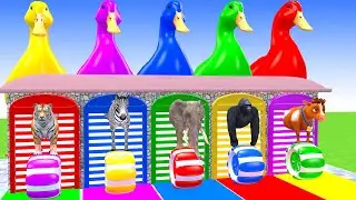 Long Slide Game With Tiger Zebra Elephant Gorilla Cow Hippopotamus 3d Animal Game Funny 3d Animals