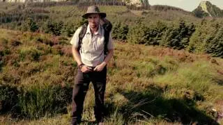 Territorial Behavior trailer