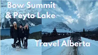 Travel Alberta&nbsp;Canada // Bow Summit & Peyto Lake Hike // Icefields Parkway Drive