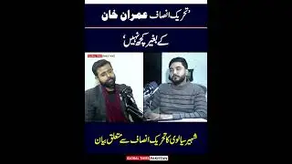 What Will Be The Political Future Of Imran Khan? | Chairman Pakistan Nazaryati Party Shaheer Sialvi