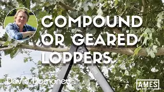 Loppers: When & Why You Should Use Them