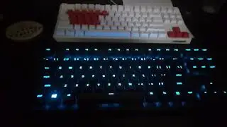 【RAZER HUNTSMAN TE】 typing sound comparison with 【FILCO Majestouch2 CHERRY MX SILENT SWITCH】