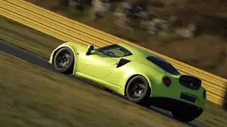GMS - Performance optimization (precision alignment, corner balancing, damping adjustment).