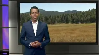 Bill Williams Mountain Restoration Project