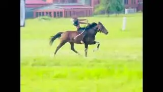 Traditional horse racing_Dundee KZN 11/01/2026