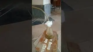 Smoke Trapping Of Peganum Seeds/Lab Work/Experimental Work