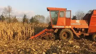 Branje kukuruza u klipu-berač Bourgoin GR10-transport kukuruza-ceo klip-2020