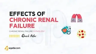 Chronic Renal Failure Pathology | Effects of Chronic Renal Failure | Kidney Pathophysiology
