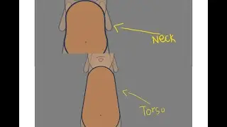Neck Torso and Hip Rigging Part 1