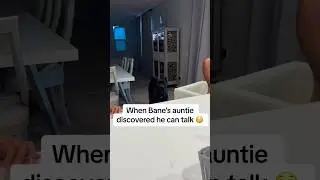 This dog really be talking 😳 #raisingbane #canecorso #bigdogs #funnydogvideos