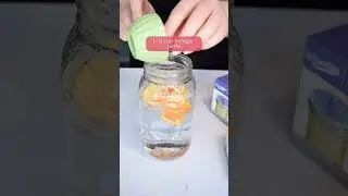 Homemade Citrus Enzyme Cleaner #shorts