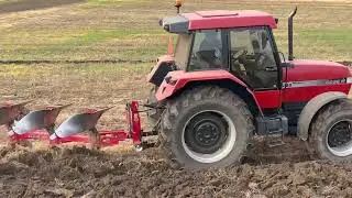 Case maxxum 5120, Liaz 706 MTS and horse