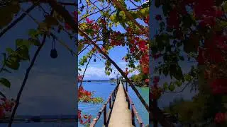 🇵🇭 Cebu,Philippines |📍Tabogon | 🌏 Tabogon Places Must Visit 😱 | 🧭 Cebu North ⬆️