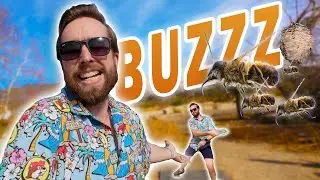 STOP Buzzing Around! Which Discraft BUZZZ Is Best?  | Throwing Discraft For 30 Days