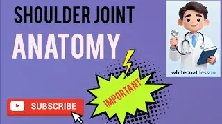 Shoulder Joint Anatomy Explained | MBBS 1st Year