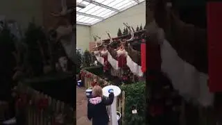 Redfields Garden Centre November 2018