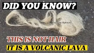 These Are Not Strands Of Hair But Volcanic Lava Called &ldquo;Pele&rsquo;s Hair&rdquo;| PHACTS