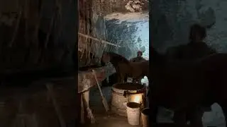 Wieliczka Salt Mines in Poland. #wieliczka #krakow #saltmines #poland #travel #eurotrip24