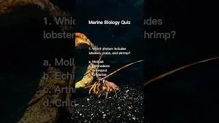 Marine Biology Quiz #quiz #quiztime #science #biology #animals