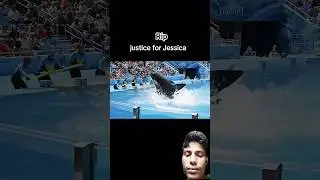 Rip jessica 🥹😭 #orca #dolphin #swimming #jessica_dolphins #jessica #shorts #whale #viral