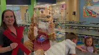 PBIS School Expectations: Cougar Code