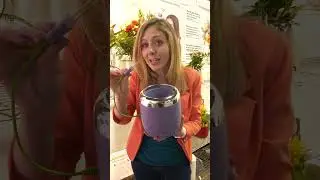 The PlantPetz Smart Pot Turns Plants Into Lively, Dancing Friends #shorts