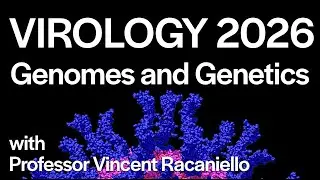 Virology Lectures 2026 #3: Genomes and Genetics