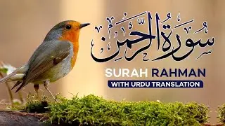 Surah Rahman with Urdu Translation | Beautiful Quran Tilawat by Qari Abdul Basit | سورۃ الرحمن | 39