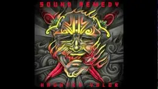 Sound Remedy - Haunted Valor