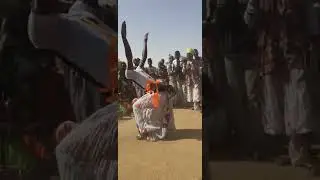 talibo  bafarara
