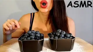 ASMR | Eating Blueberries | Crunchy Sounds | No Talking | Lady M. ASMR