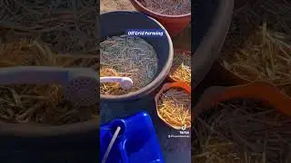 Portable 🚿used for &ldquo;offgrid farming&rdquo; #offgrid #organicfarming #offgridfarm #desertlife #gardening