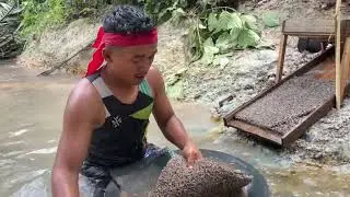 Wawww😱😱😱material tanah seperti ini lah yang di cari” para menambang emas #gold #goldhunter #viral 