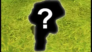Is this the missing piece in my game? | Devlog