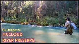 Fly Fishing the McCloud River Preserve (California)