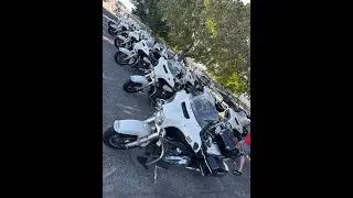 ATENCIÓN AFICIONADOS DE LAS SUBASTAS Y TIKTOK