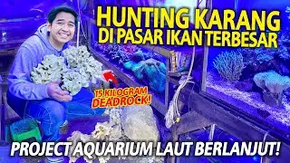 PROJECT AQUARIUM LAUT BERLANJUT! HUNTING 15KG BATU KARANG DI PASAR IKAN TERBESAR BANDUNG!