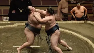 Super Tamawashi! Sumo's Man of Steel