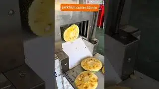 2024 Commerical Jackfruit Cutter thickness can adjusted #foodmachine #jackfruit