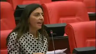 Opposition MP from CHP in Turkey protests the ban on Kurdish music with a Kurdish song at Turkish