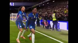 ESTEVAO HIGHLIGHTS?