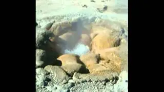 Yellowstone Shell Spring bubbling