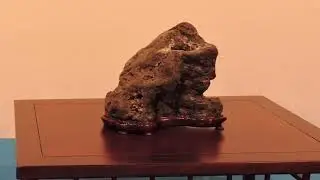 The Trophy Bonsai Show 2020 Suiseki exhibits