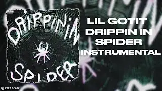 Lil Gotit - Drippin in Spider (Instrumental)