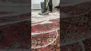 Роторная машина для чистки ковров / rotary carpet cleaning machine (part 15) #shorts #carpet