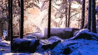 Stones in the forest & RightMusic